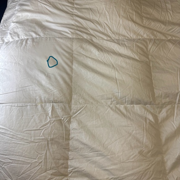 [Price Reduced] Blue bridge 75% down comforter (Queen size) $200 off！！ - Picture 7 of 8